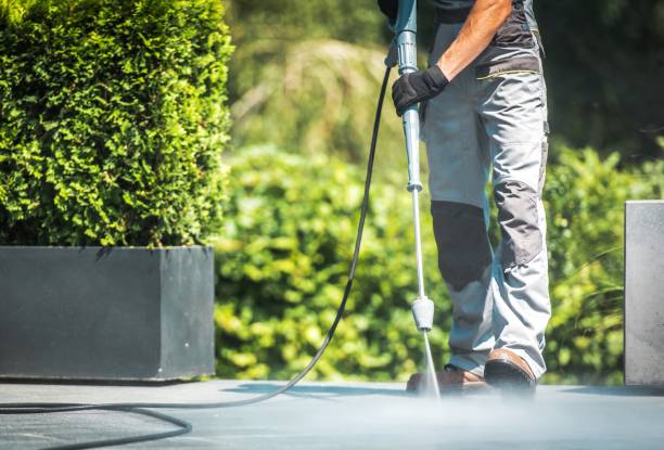 Best Driveway Pressure Washing  in Carrizo Hill, TX