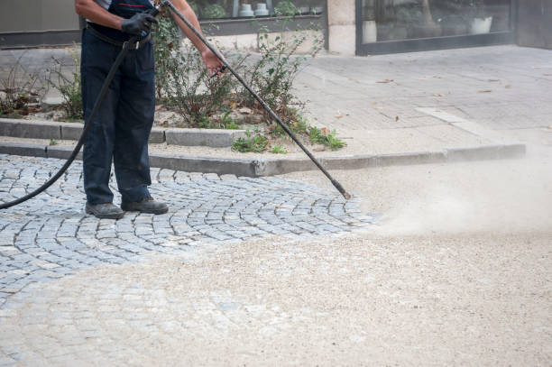 Best Sign and Awning Cleaning  in Carrizo Hill, TX