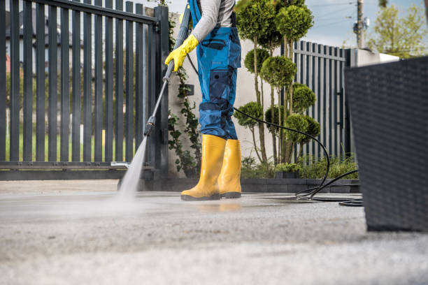 Best House Exterior Washing  in Carrizo Hill, TX